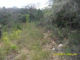Chapleton, Clarendon, Jamaica - Residential lot for Sale